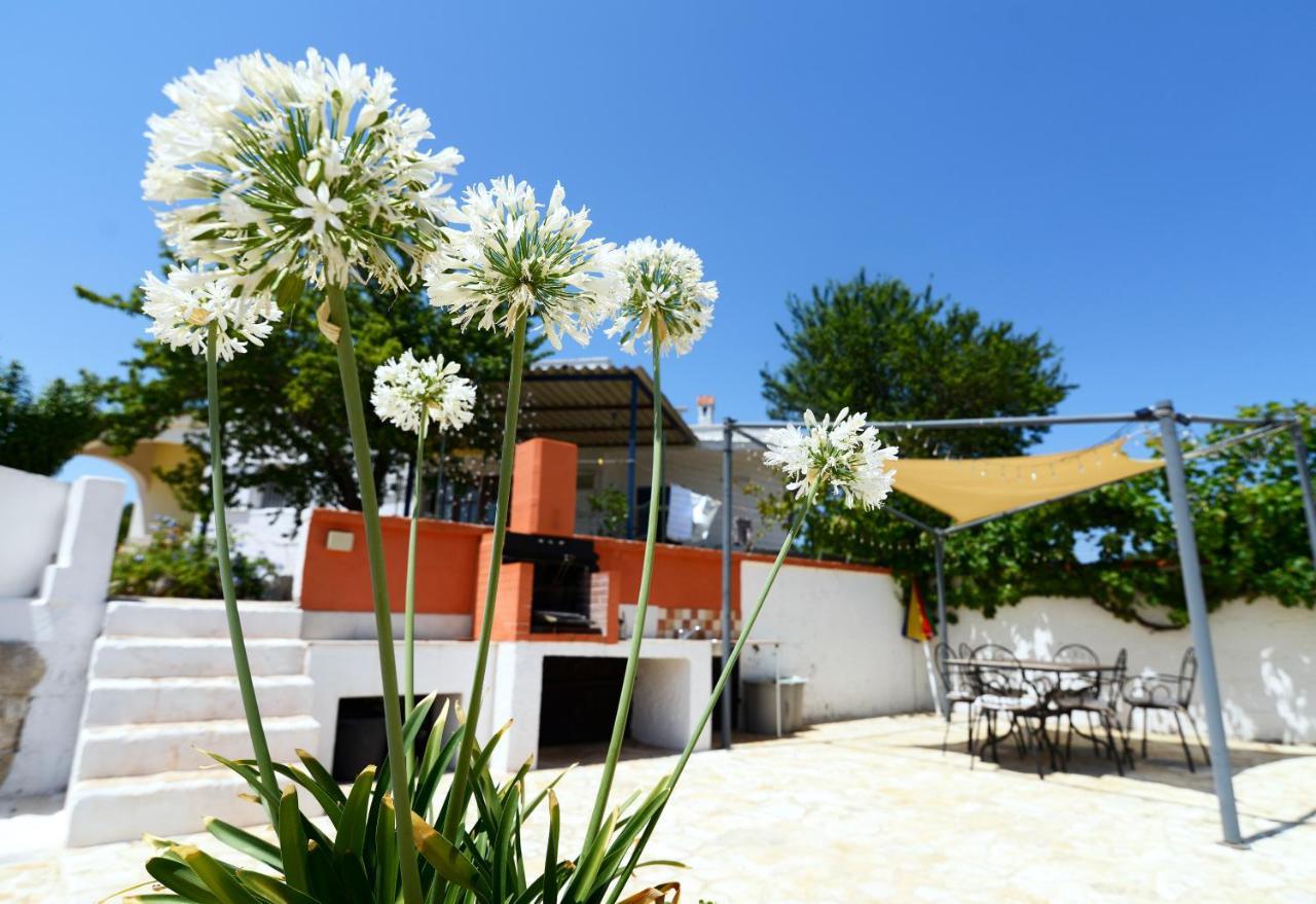 Villetta Panoramica Ostuni Eksteriør bilde